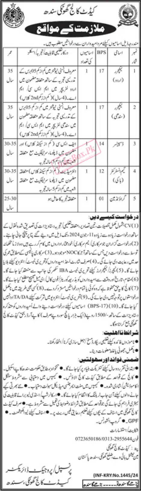 Jobs in Cadet College Ghotki